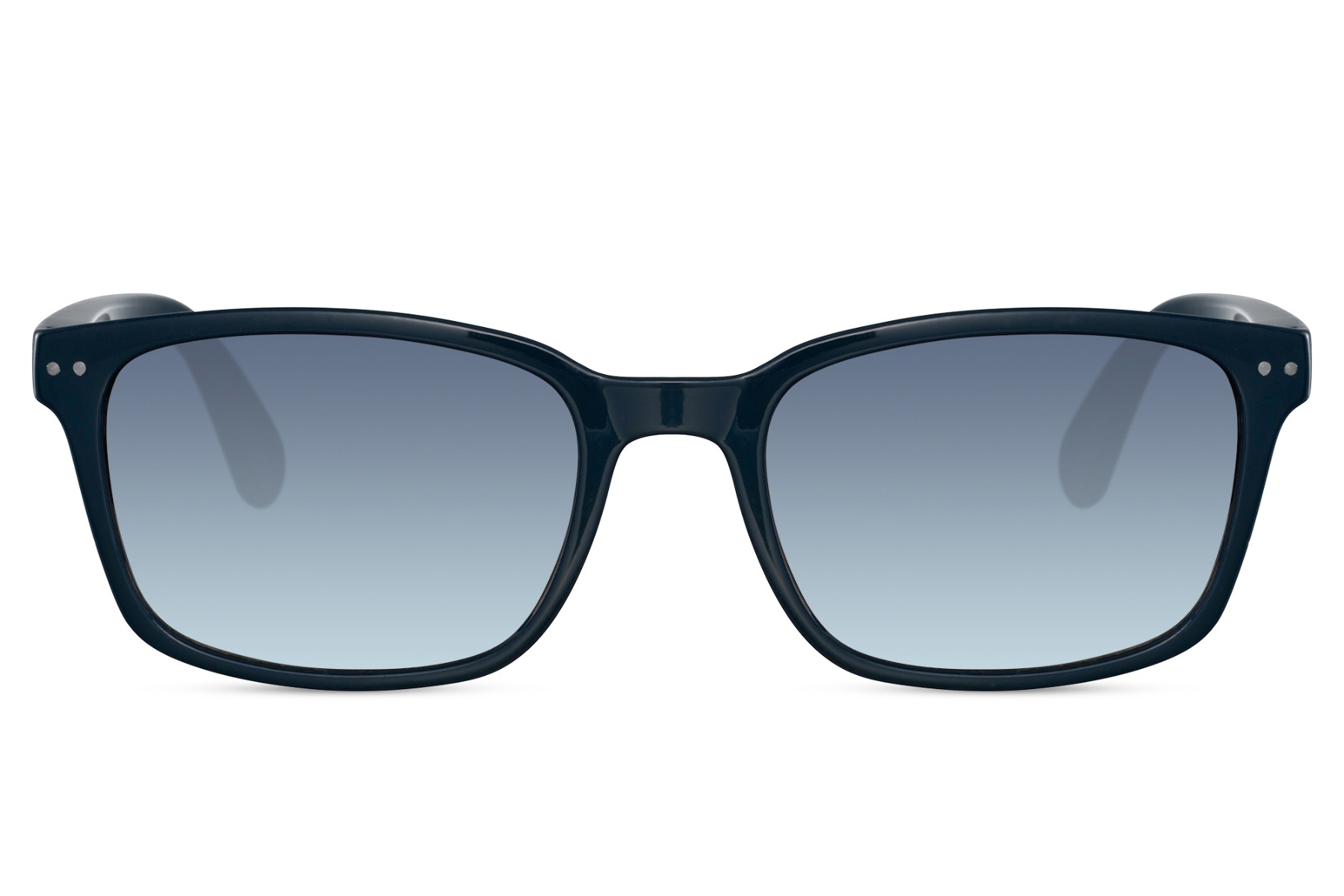 Hippo main product photo