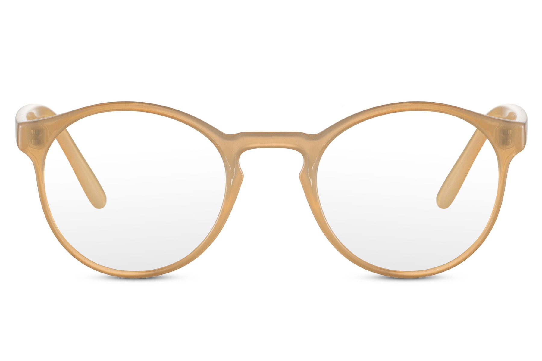 Naaktslak main product photo